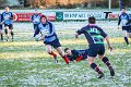 Monaghan Legends V Perennials (4)